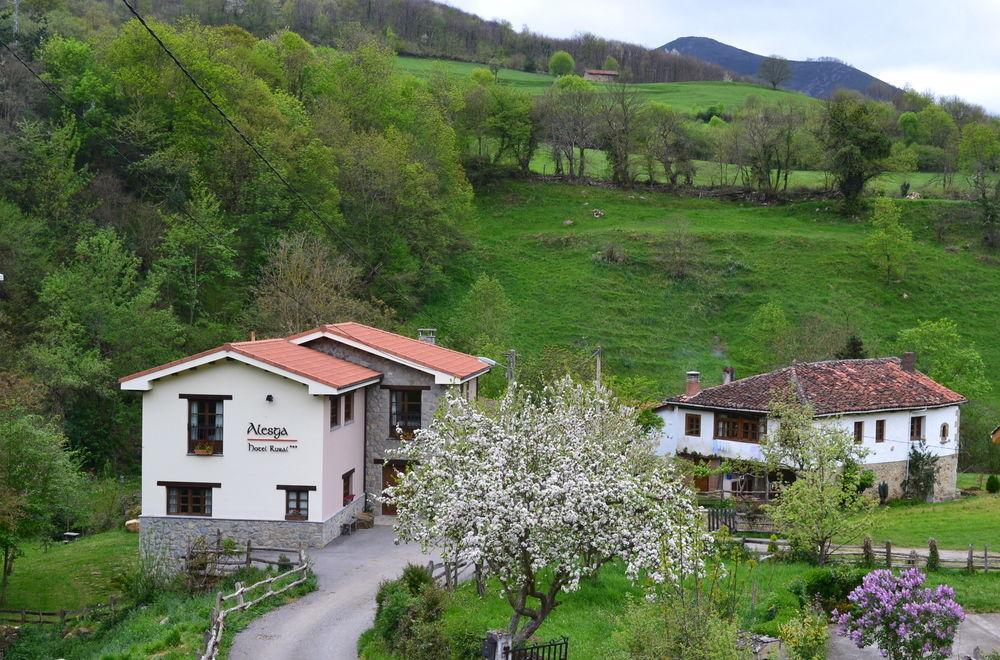 Alesga Hotel Rural - Valles Del Oso -Asturias San Salvador (Asturias) Exterior foto