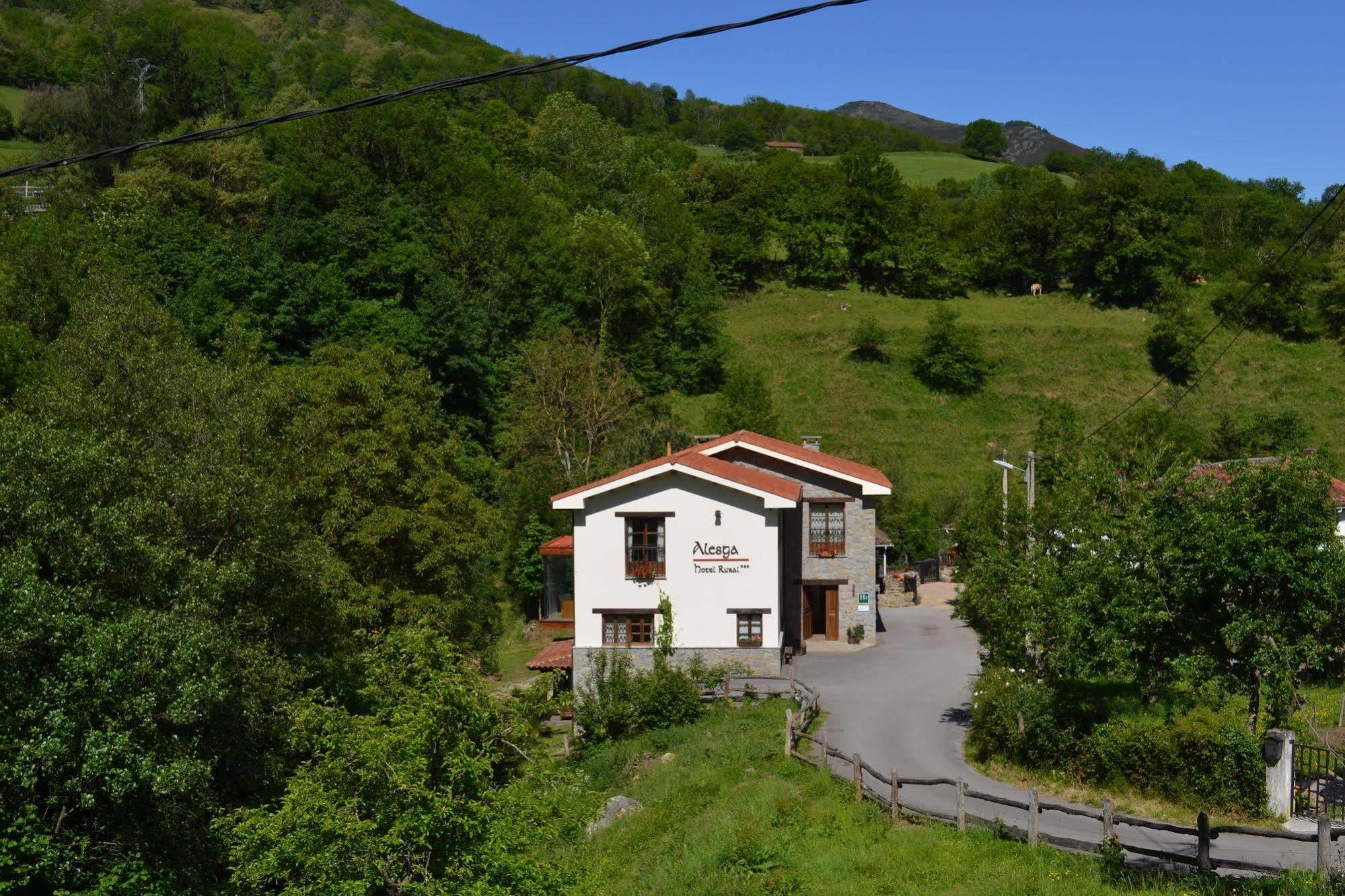 Alesga Hotel Rural - Valles Del Oso -Asturias San Salvador (Asturias) Exterior foto