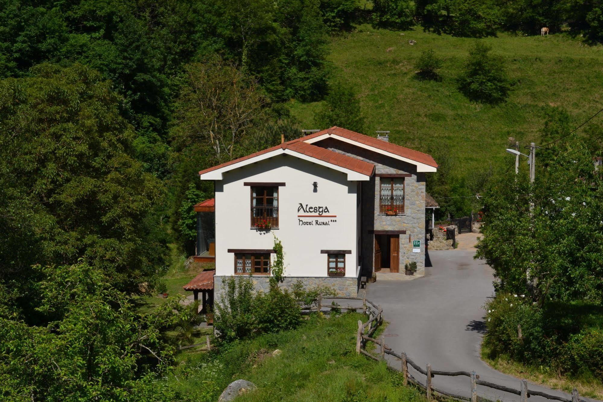 Alesga Hotel Rural - Valles Del Oso -Asturias San Salvador (Asturias) Exterior foto